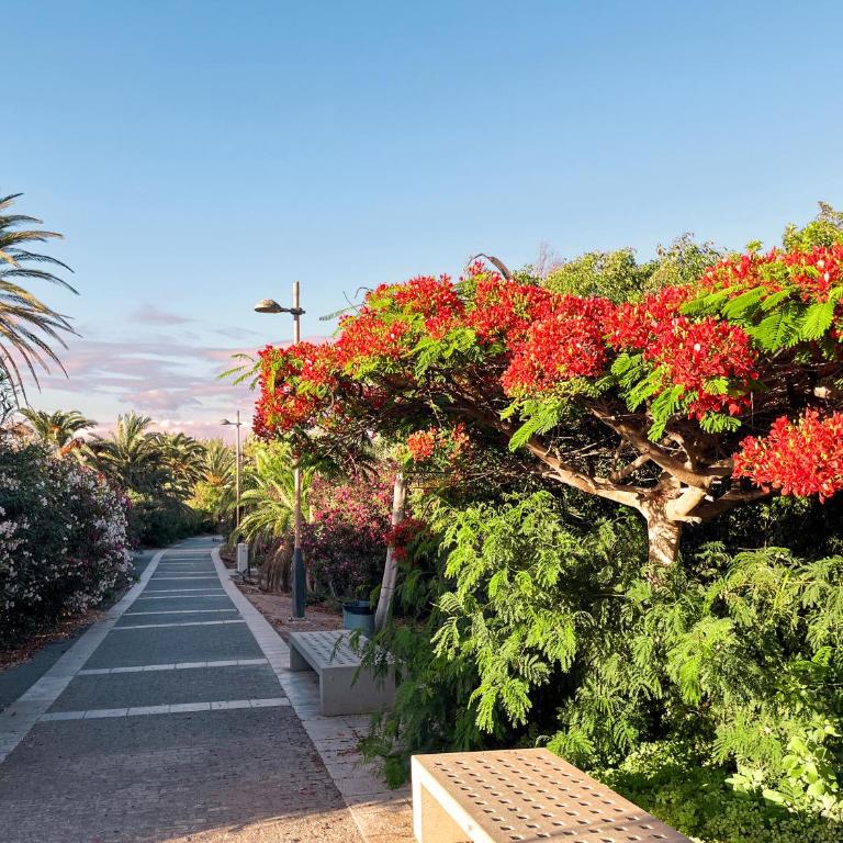 Modernes, liebevolles Apartment - Costa Calma - Apartamento de 1 dormitorio - 21
