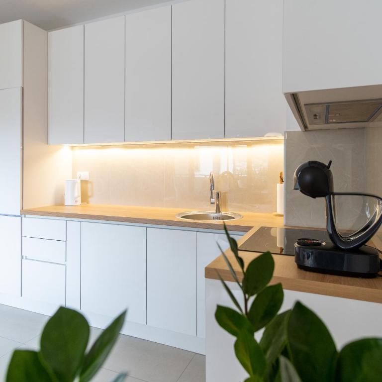 INSTA Premium Apartment - Apartman sa 2 Spavaće Sobe - 13