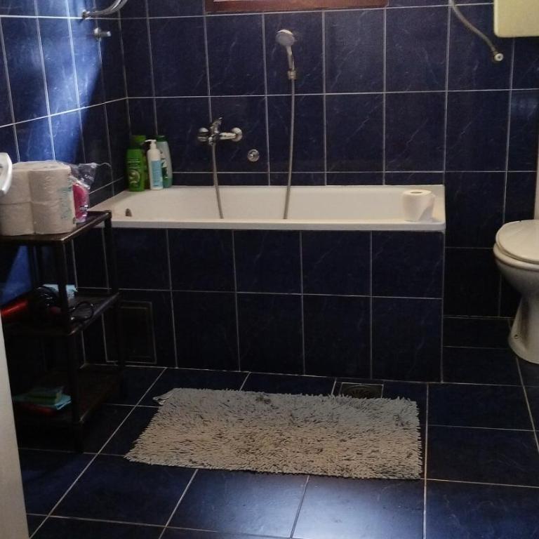Apartman "Milka" Bajina Bašta - Apartman sa 1 Spavaćom Sobom - 18