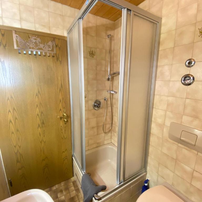 Ferienwohnungen Artenreitwinkl Hallinger - Apartamento con vistas a las montañas - 7