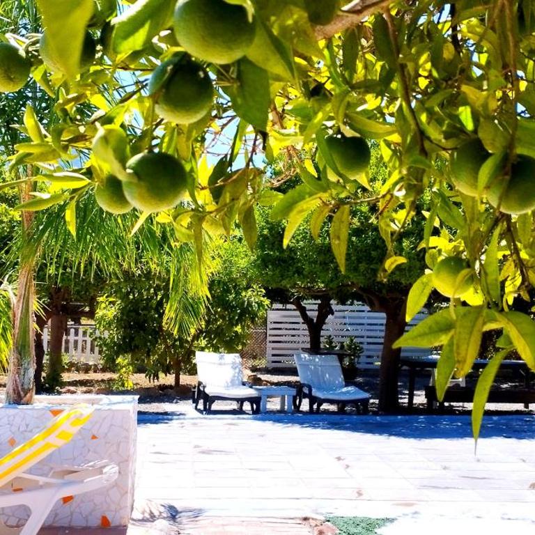 Finca él Aulagar - Casa de 4 dormitorios - 26