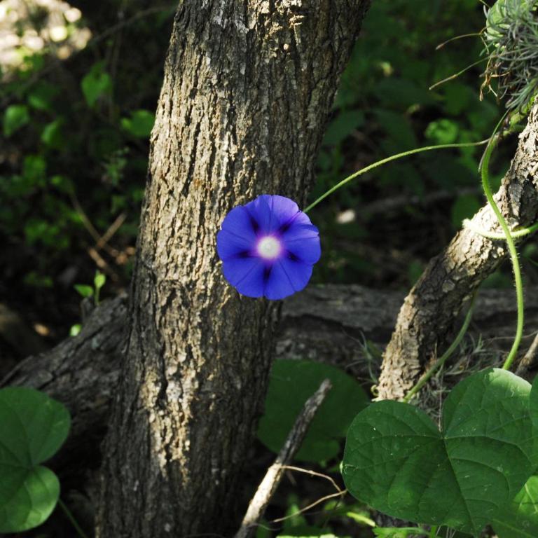 TrinidadTraslasierra-CASATUNA - Estudio - 7