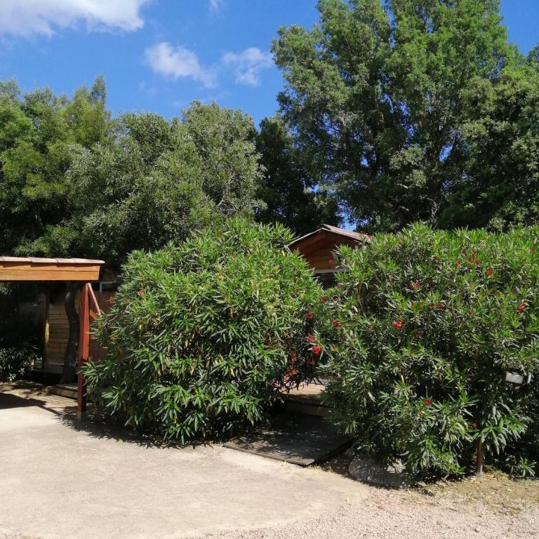 Les chalets de Palavesa - Chalet 1 Chambre - 4