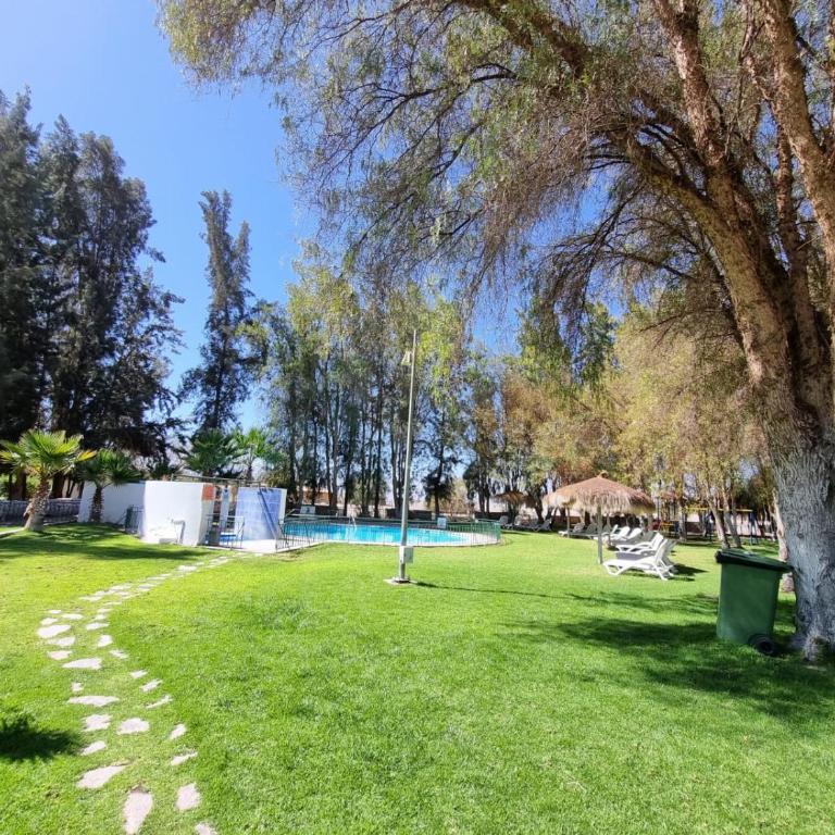 Cabañas La Huayca - Caja Los Andes - Cabaña con vistas al jardín - 15