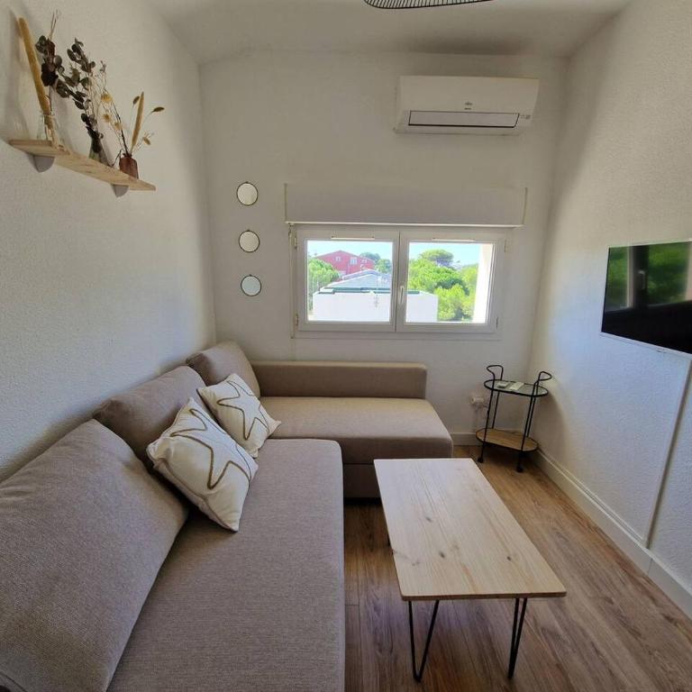Les flamants roses de la Capte T2 - Appartement 1 Chambre - 1
