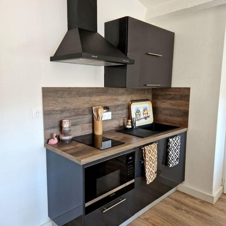 Les flamants roses de la Capte T2 - Appartement 1 Chambre - 5