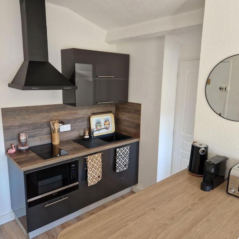 Les flamants roses de la Capte T2 - Appartement 1 Chambre - 6