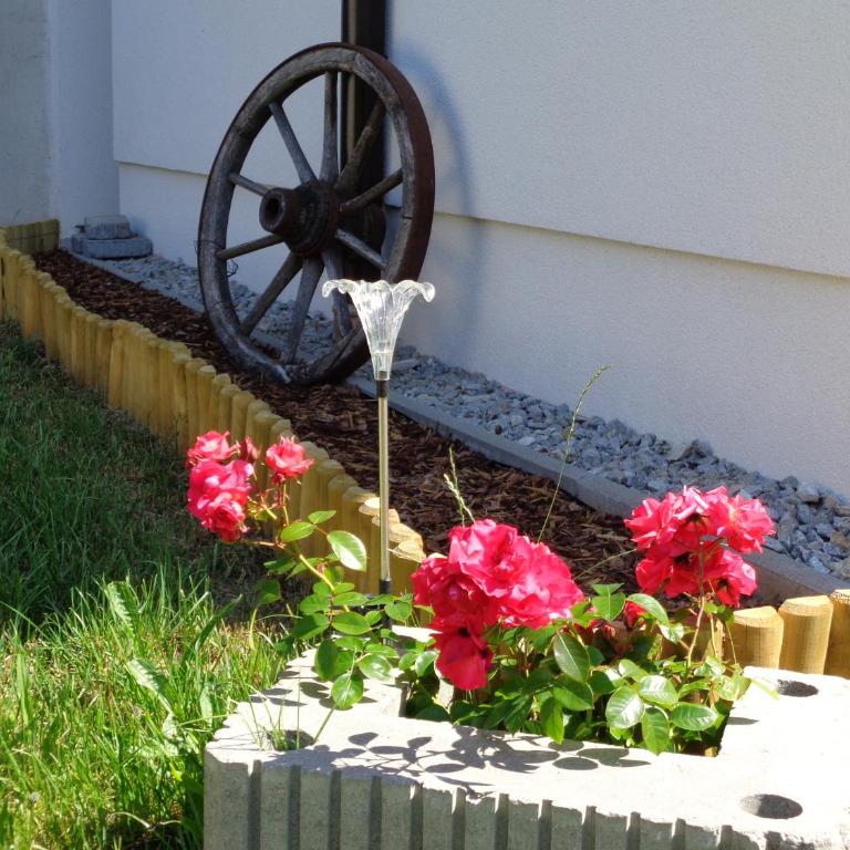 Haus Matthias - Apartment mit Gartenblick - 33