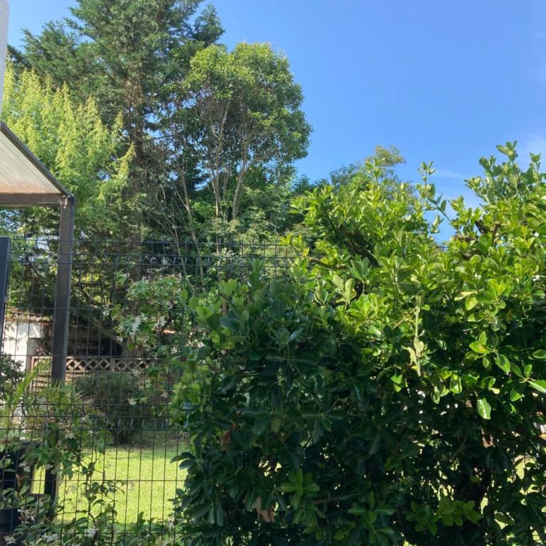 50 m2 T2 au calme, lumineux, confortable, cosy, climatisé, privatif avec parking gratuit et terrasse - Maison 1 Chambre - 17