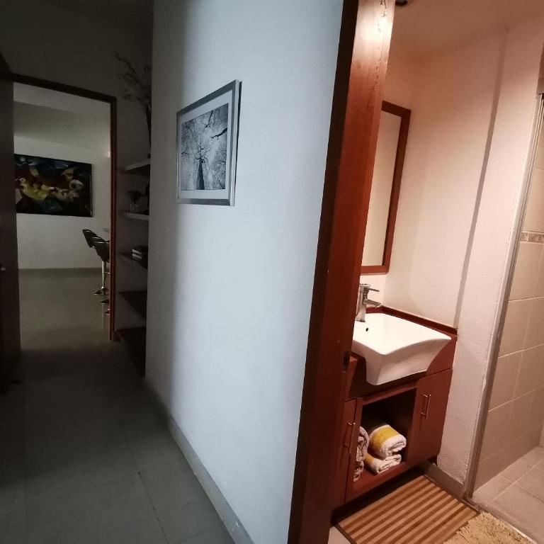 Amplio y Moderno en Antara, Carso y Embajada EEUU - Apartamento de 1 dormitorio - 22
