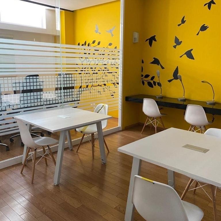 Amplio y Moderno en Antara, Carso y Embajada EEUU - Apartamento de 1 dormitorio - 26