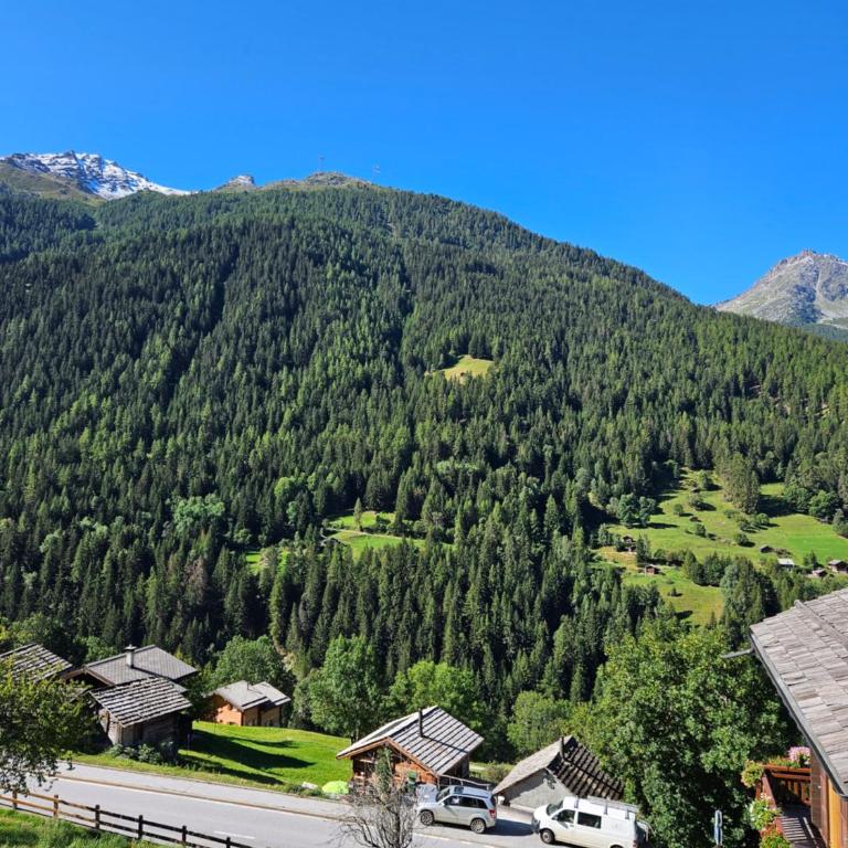 chante bise - Apartment mit 3 Schlafzimmern - 12