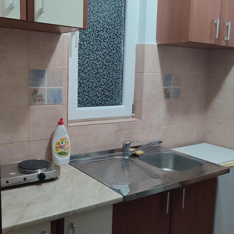 Pejovic Guest House - Apartman sa 1 Spavaćom Sobom - 7