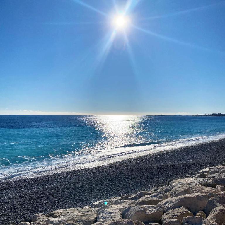 BEAUTIFUL renovated apartment ,NEXT TO THE BEACH ! AIR-C, FREE PARKING! - Appartement 1 Chambre - 21