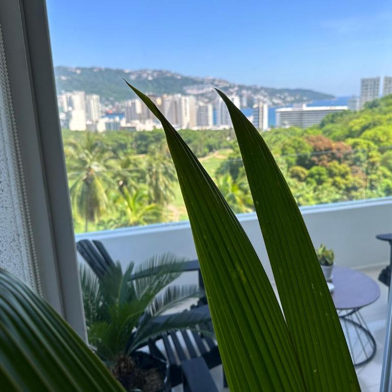 CLUB DE GOLF - Apartamento de 3 dormitorios - 24