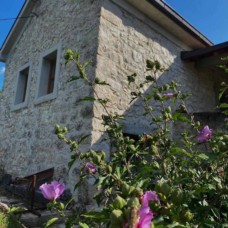 Apartman LENNA - Vila sa 1 Spavaćom Sobom - 1