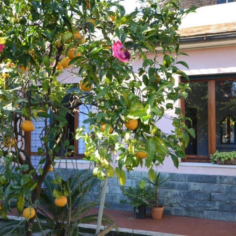 Casa Tra Il Verde E Il Blu - Appartamento con Vista Giardino - 4