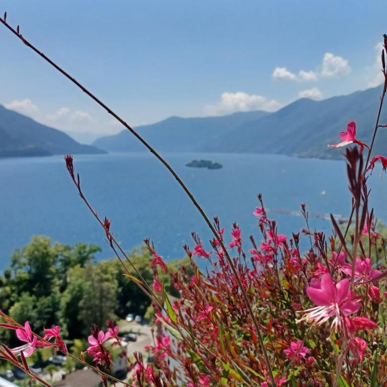 Sollevante Ascona mit Pool und fantastischer Seesicht - Appartamento con 1 Camera da Letto - 3