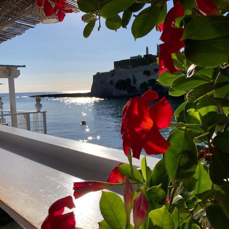 Casa Carlotta - Casa Vacanze - 62