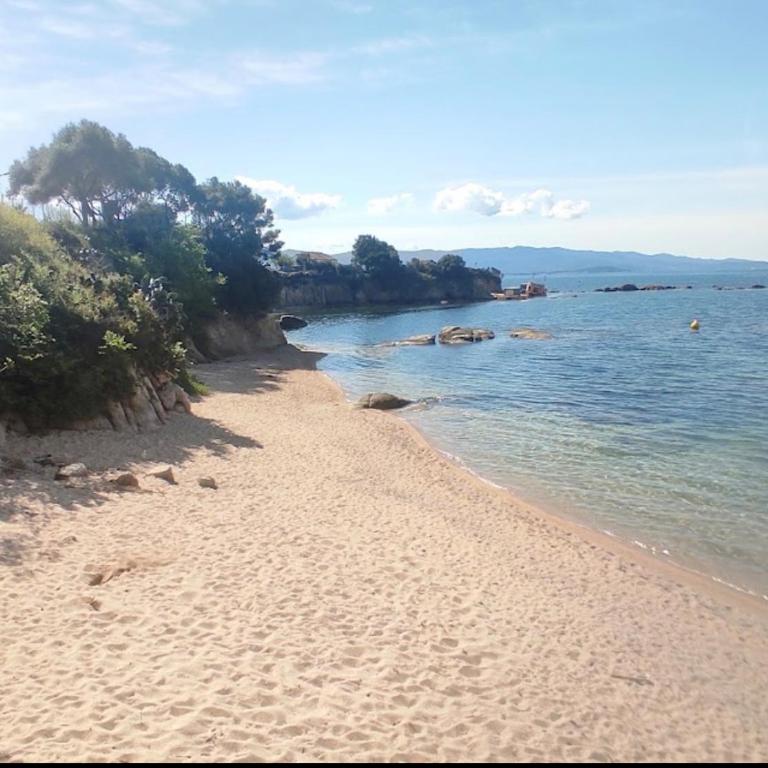 Magnifique T2 ajaccio - Apartamento de 1 dormitorio - 2