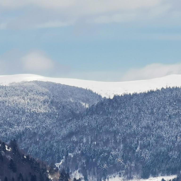 Fenêtre sur les crêtes Vosgiennes - Chalet mit 3 Schlafzimmern - 5