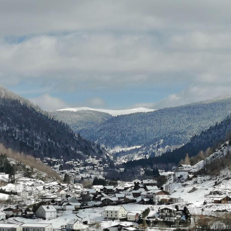 Fenêtre sur les crêtes Vosgiennes - Chalet mit 3 Schlafzimmern - 67