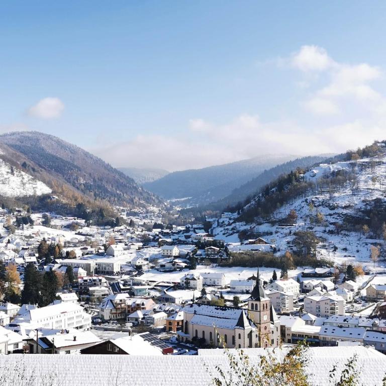 Fenêtre sur les crêtes Vosgiennes - Chalet mit 3 Schlafzimmern - 68