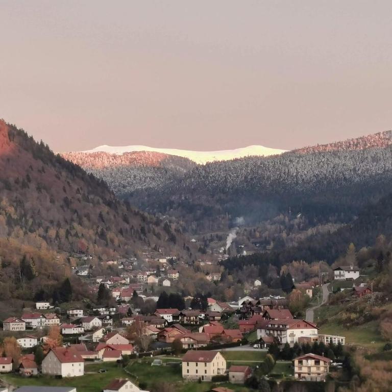 Fenêtre sur les crêtes Vosgiennes - Chalet mit 3 Schlafzimmern - 4