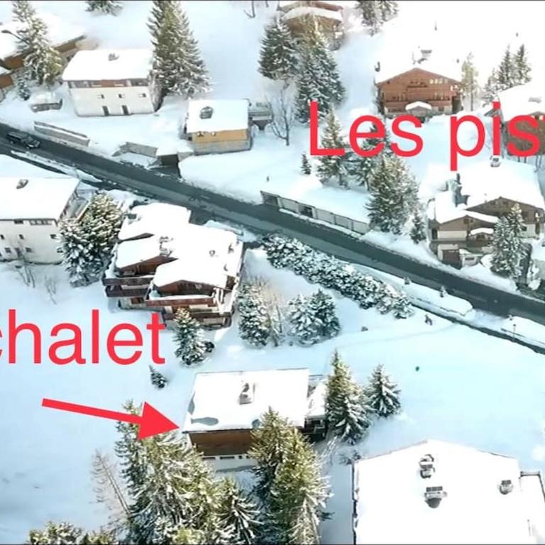 Chalet Robaumont - Grand chalet familial proche du centre et des pistes - Chalet - 4