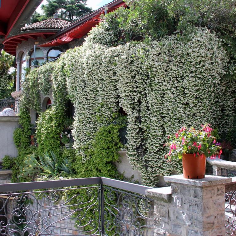 Barony Agave - Two-Bedroom Apartment with Terrace and Sea View - 9