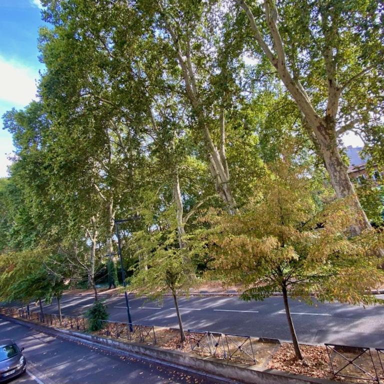 Appartement refait à neuf centre-ville - Appartamento con 1 Camera da Letto - 10