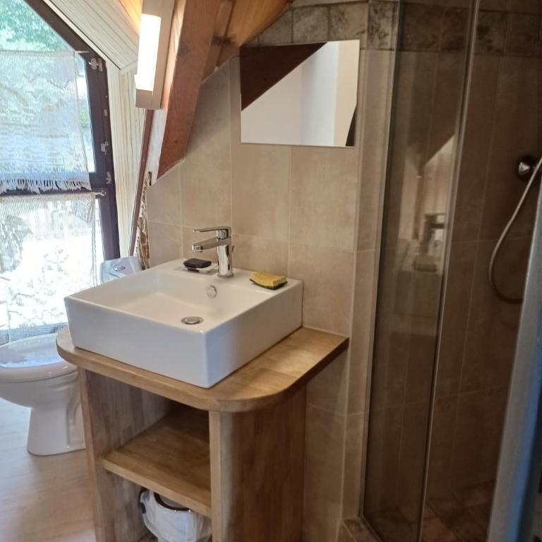 Belle Demeure Sarladaise - Villa Supérieure - 18