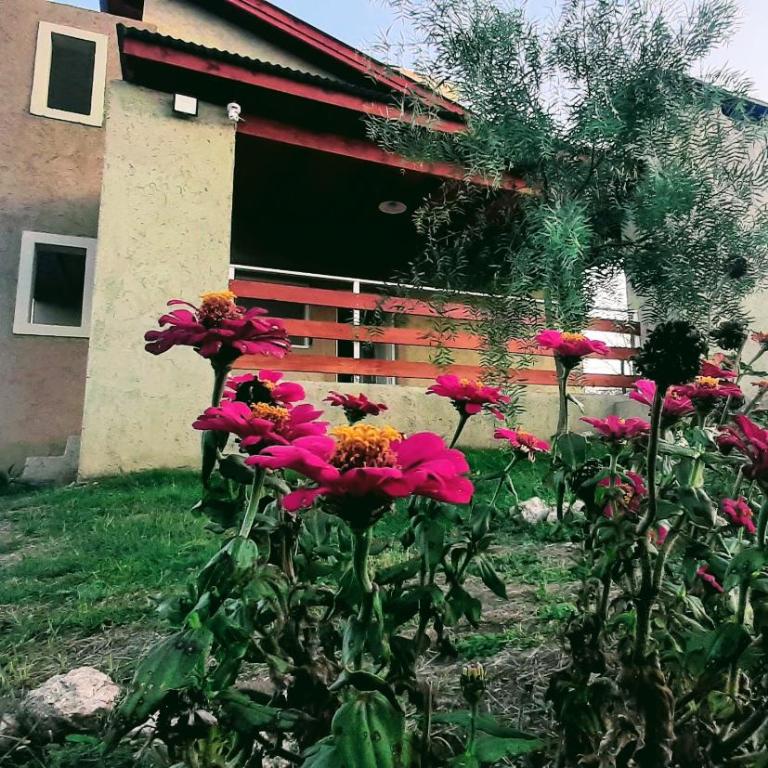 Terrazas de Nahuascat - Casa de 2 dormitorios - 10