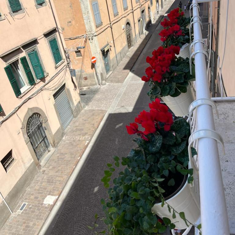 Locazione turistica LA CASETTA - Appartamento con 1 Camera da Letto - 16