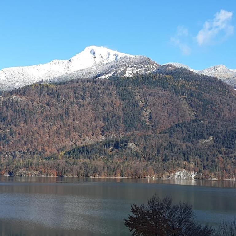 Lueg36 am See - Apartment with Lake View - 11