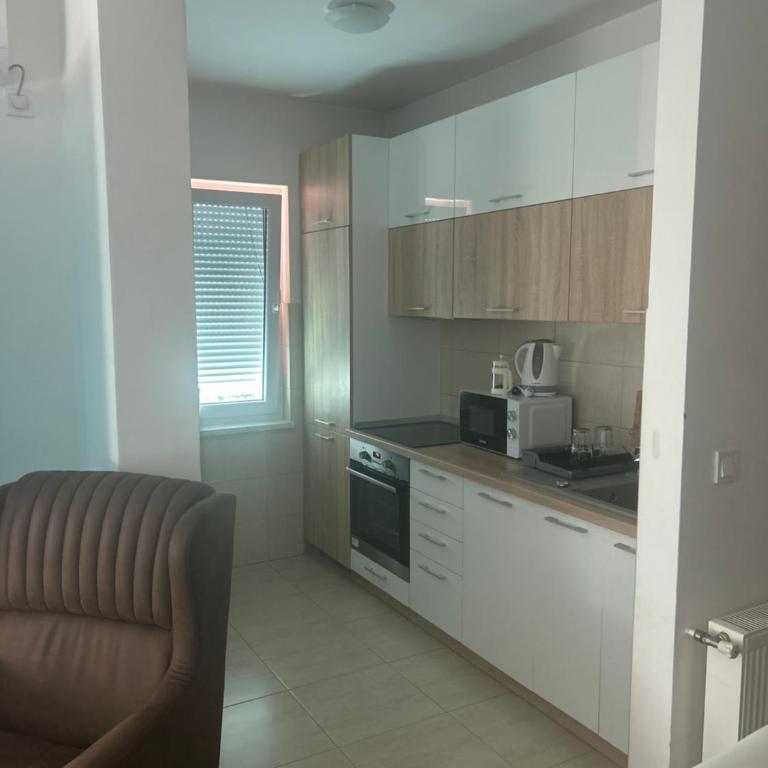 Sarajevo Dream Apartment - Apartman sa 2 Spavaće Sobe - 6
