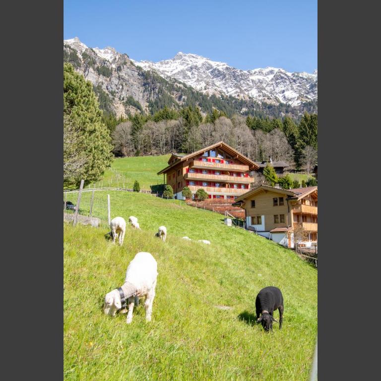 Chalet Bargsunna - Superior Apartment - 26
