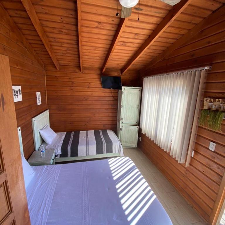 Cabañas Tr'eje - Standard Twin Room - 10