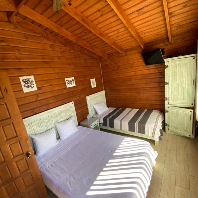 Cabañas Tr'eje - Standard Twin Room - 9