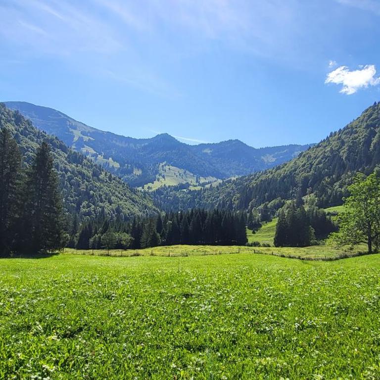 FeWo Allgäuzeit mit WLAN Oberstaufen Steibis - Apartment mit 1 Schlafzimmer - 26