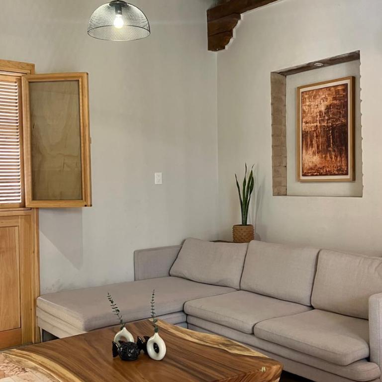 Galeana art house/historic center - Casa de 4 dormitorios - 26
