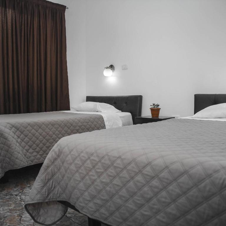 Hotel Las Dalias - Habitación Doble Estándar - 2 camas - 4