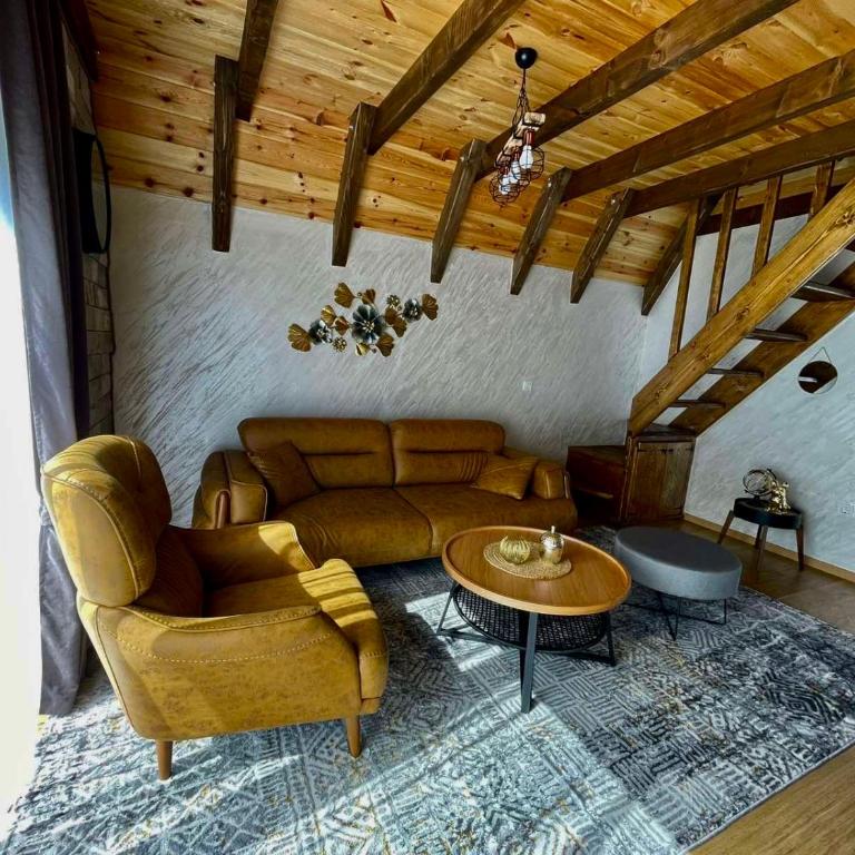 LUX VILA MOTICKI GAJ - Two-Bedroom Villa - 4