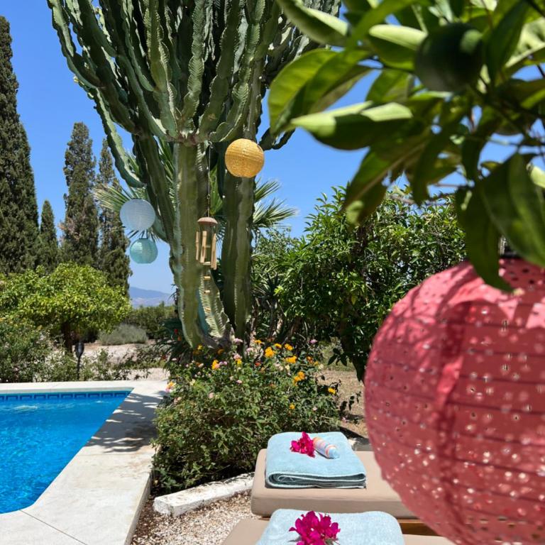 Casa Pipa Alhaurín el Grande - vrijstaande casita met privé zwembad en grote tuin - Casa con 1 dormitorio - 22