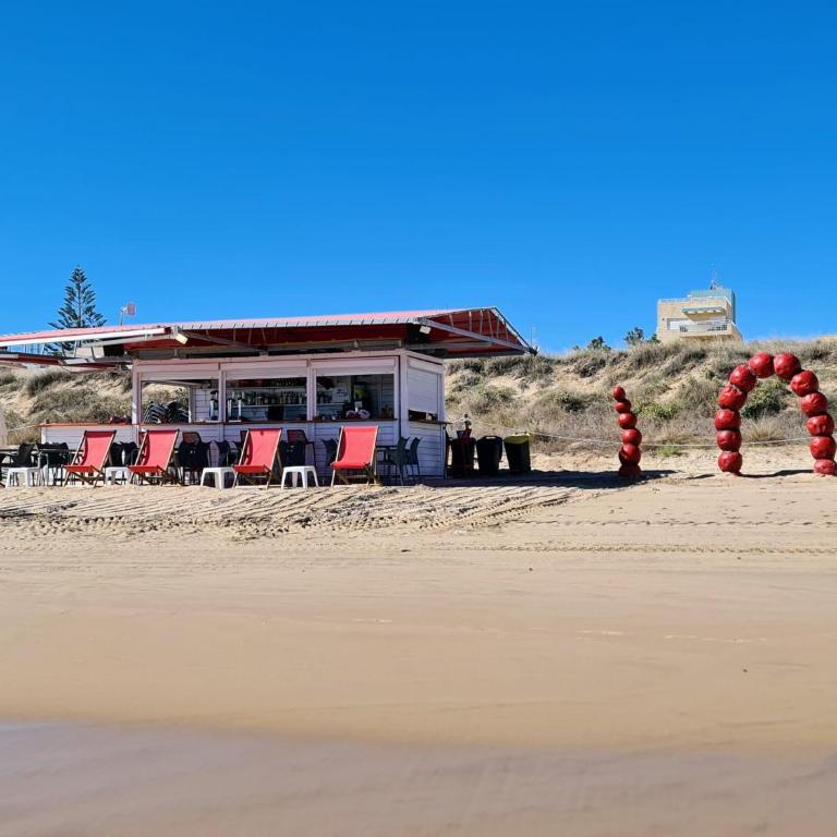 Oliva Moon - Apartamento de 2 dormitorios - 50