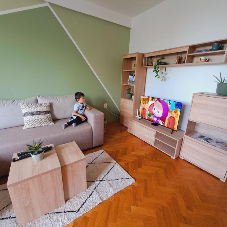 SM apartman - One-Bedroom Apartment - 4