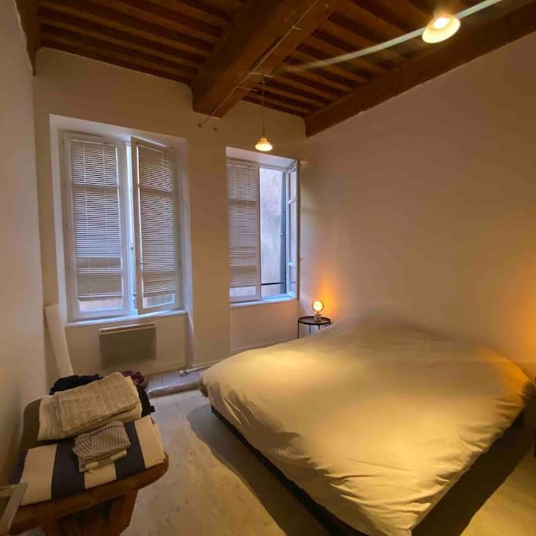 Old town - Vieux Lyon -50 m2 flat - Appartement 1 Chambre - 9