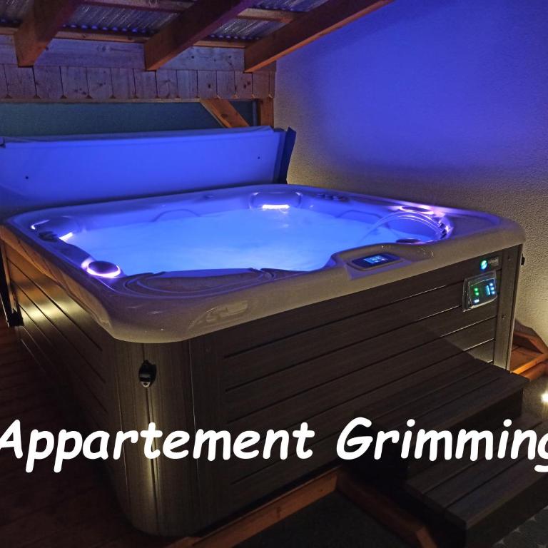 Appartementhaus Fink - Apartment mit Balkon und Whirlpool-Badewanne - 2