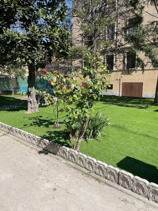 Cucchiari Suite 8B - Appartamento con 1 Camera da Letto - 4