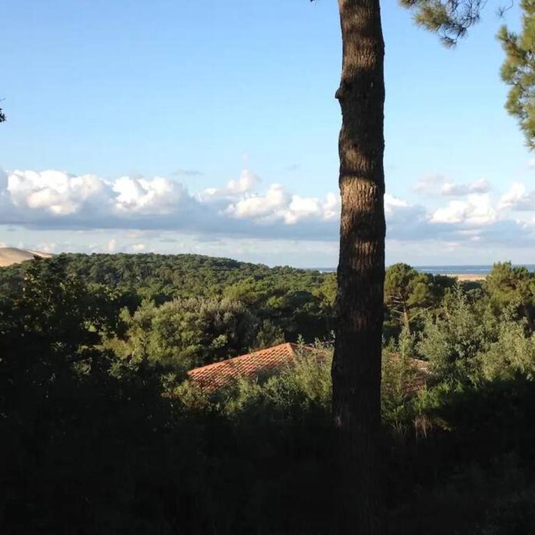 Pyla Villa DE LA DUNE Promo 2026 - Villa - 3